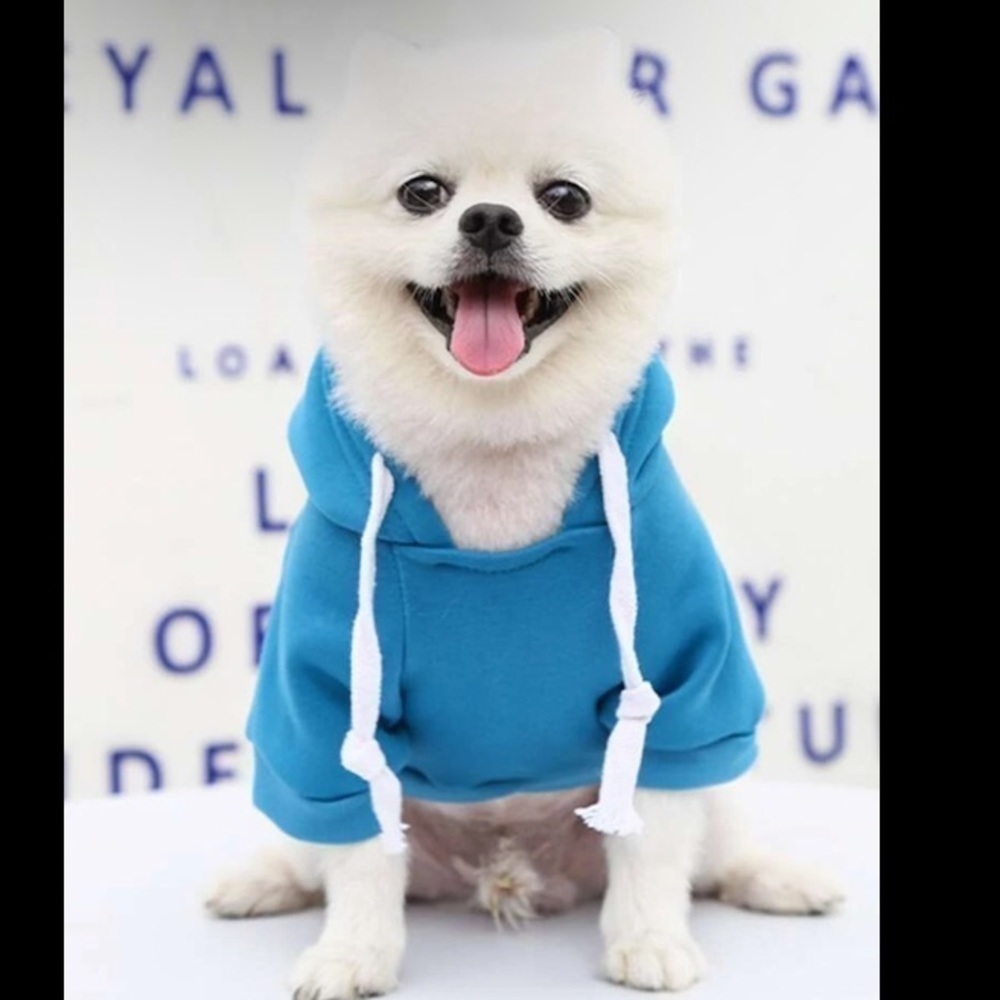 Blue Hoodie with zipper Detail For Dog🐾⭐️